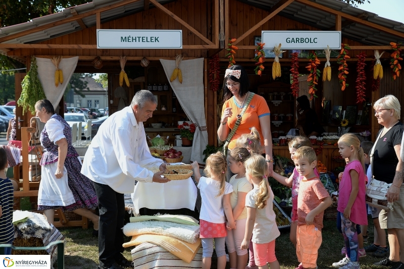 Közfoglalkoztatási Kiállítás és Vásár a Continentál Arénában