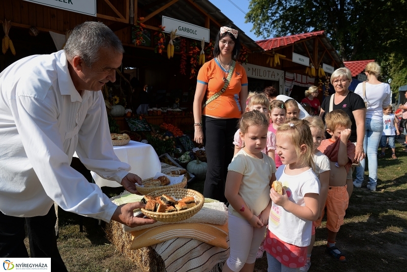 Közfoglalkoztatási Kiállítás és Vásár a Continentál Arénában
