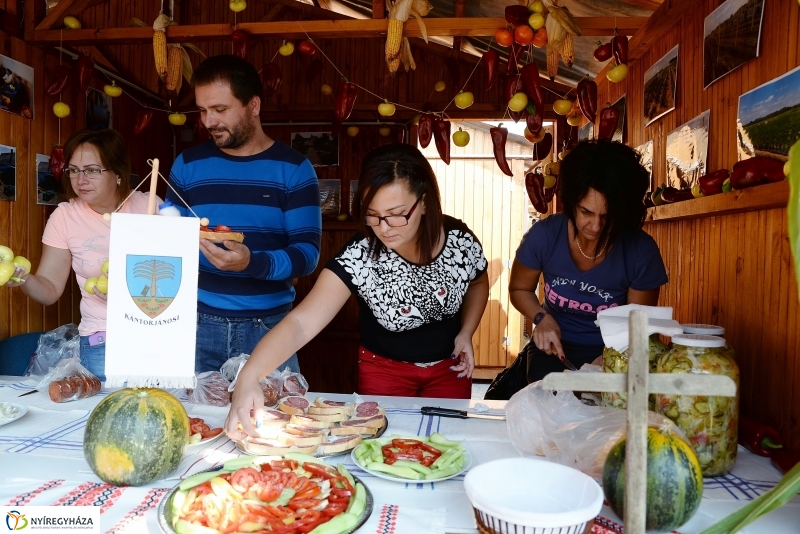 Közfoglalkoztatási Kiállítás és Vásár a Continentál Arénában