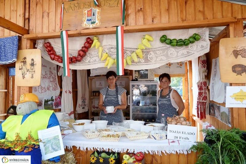 Közfoglalkoztatási Kiállítás és Vásár a Continentál Arénában