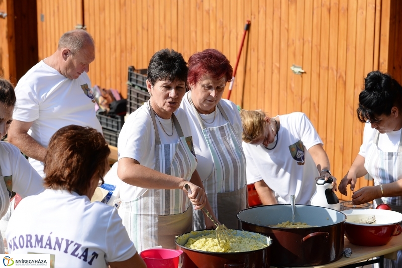 Közfoglalkoztatási Kiállítás és Vásár a Continentál Arénában