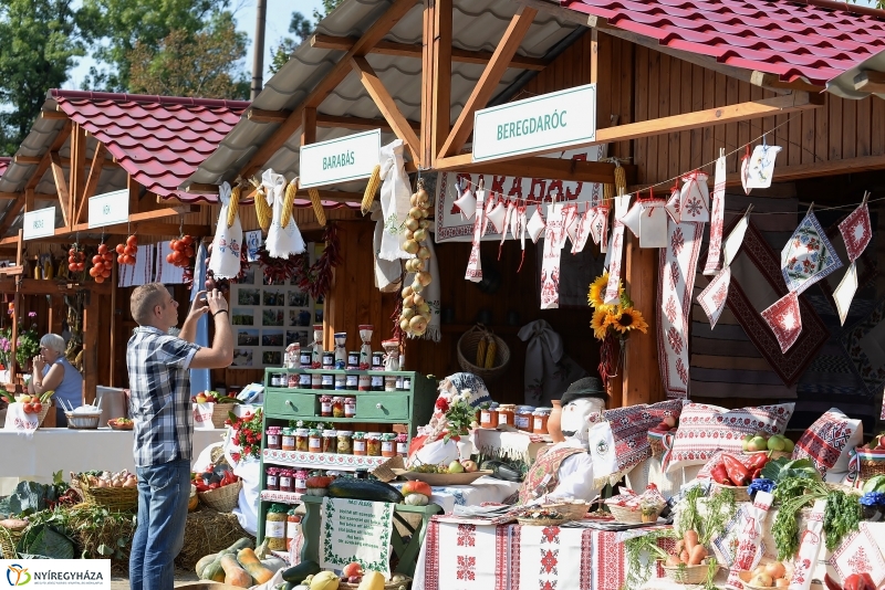 Közfoglalkoztatási Kiállítás és Vásár a Continentál Arénában