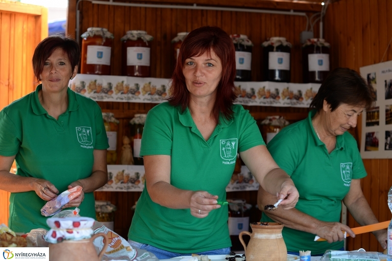 Közfoglalkoztatási Kiállítás és Vásár a Continentál Arénában