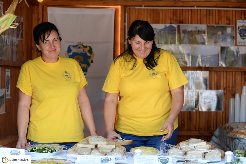 Közfoglalkoztatási Kiállítás és Vásár a Continentál Arénában