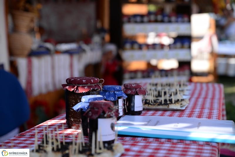 Közfoglalkoztatási Kiállítás és Vásár a Continentál Arénában