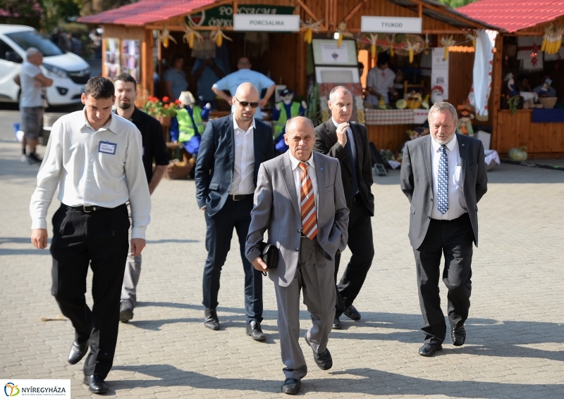 Közfoglalkoztatási Kiállítás és Vásár a Continentál Arénában