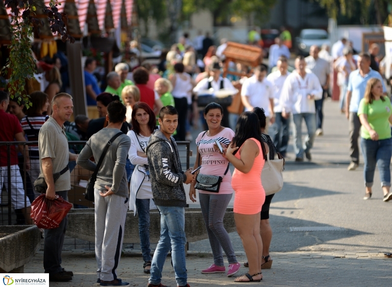 Közfoglalkoztatási Kiállítás és Vásár a Continentál Arénában