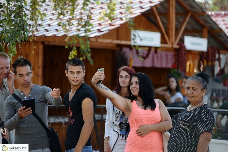 Közfoglalkoztatási Kiállítás és Vásár a Continentál Arénában