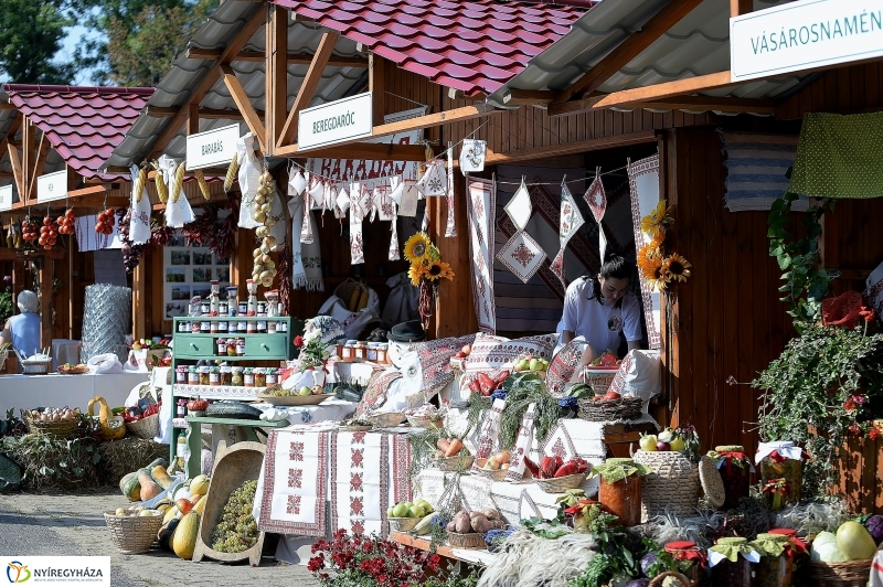 Közfoglalkoztatási Kiállítás és Vásár a Continentál Arénában