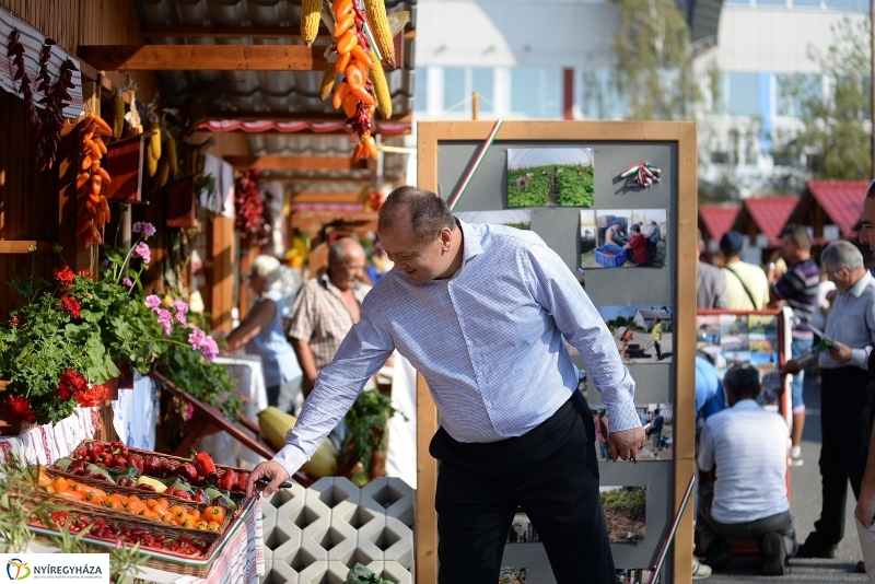 Közfoglalkoztatási Kiállítás és Vásár a Continentál Arénában