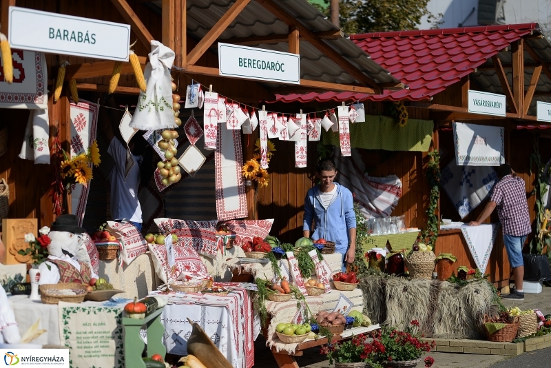 Közfoglalkoztatási Kiállítás és Vásár a Continentál Arénában