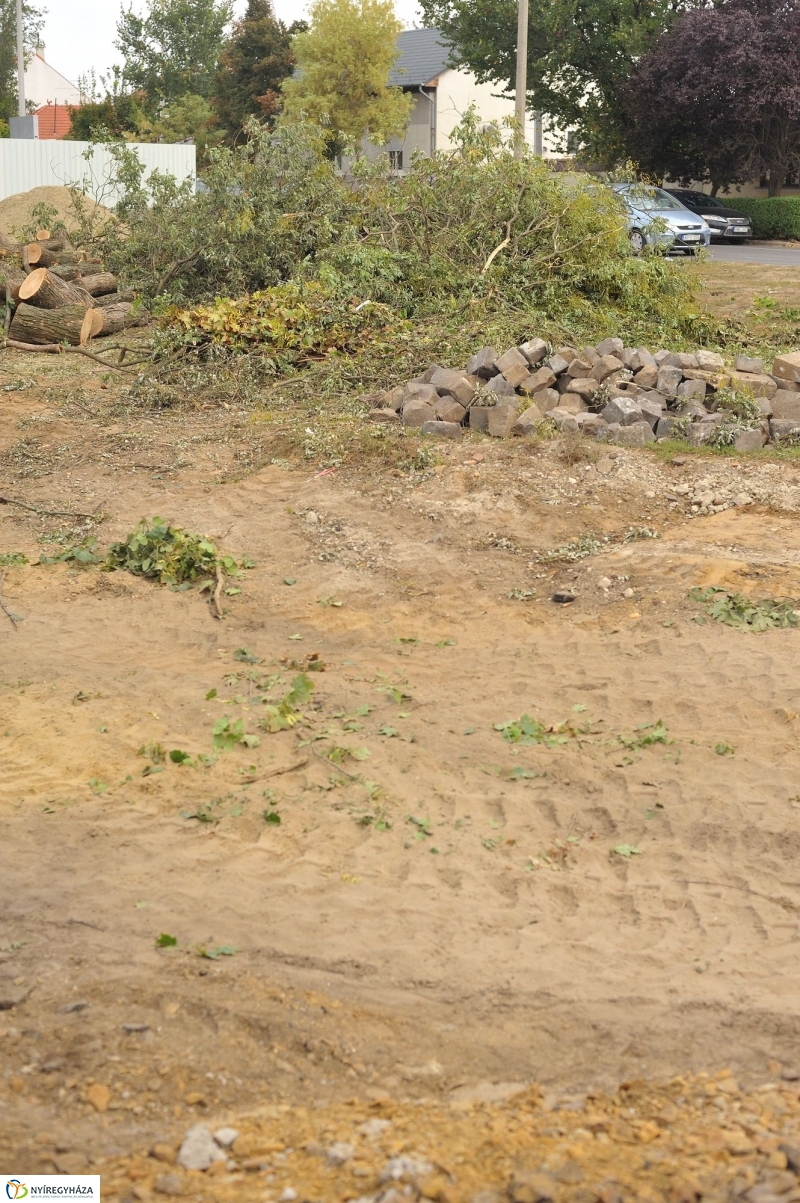 Helyszíni bejárás a Kígyó utcán - fotó Szarka Lajos