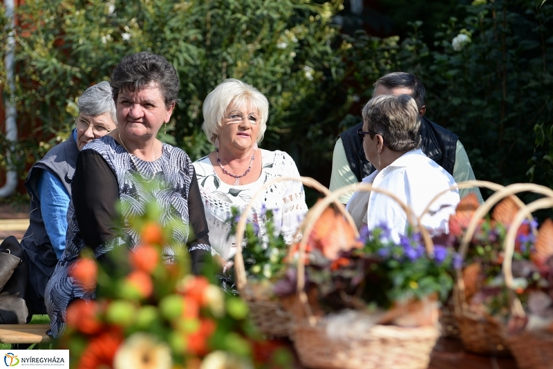 Kertszépségverseny eredményhirdetése