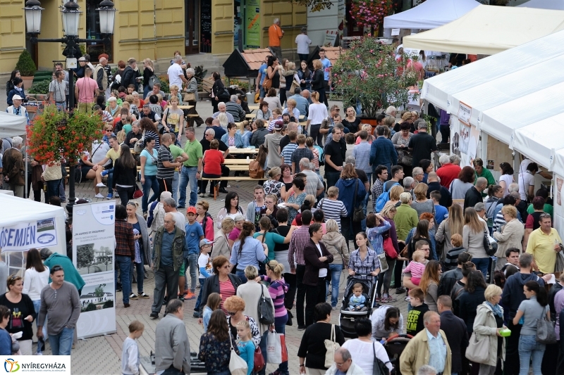 Tortavágás és eredményhirdetés a Tirpák Fesztiválon
