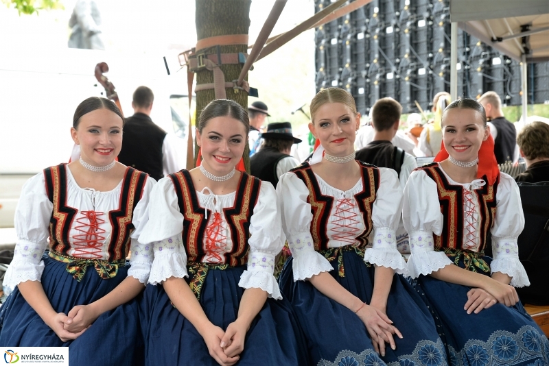 Tortavágás és eredményhirdetés a Tirpák Fesztiválon