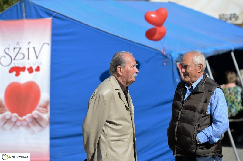 Szív Világnapja a Kossuth téren