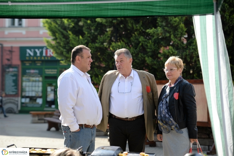 Szív Világnapja a Kossuth téren