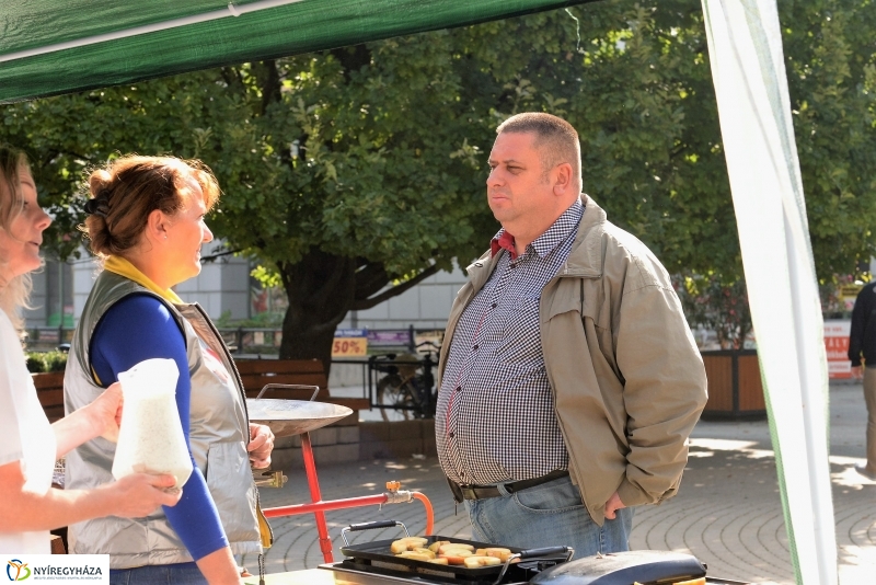 Szív Világnapja a Kossuth téren