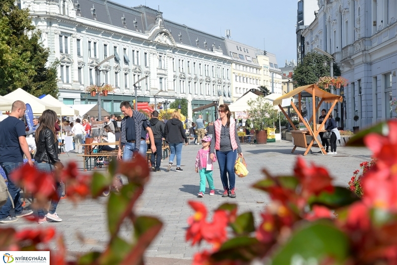 Grillbajnokság a belvárosban