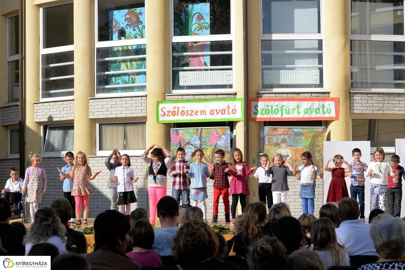 Szőlőszem, szőlőfürt avató Nyírszőlősön