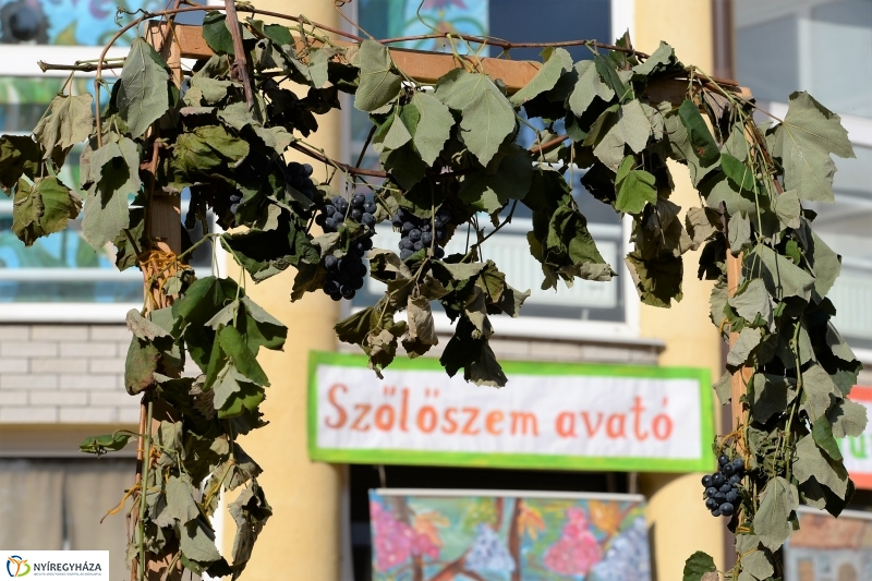 Szőlőszem, szőlőfürt avató Nyírszőlősön