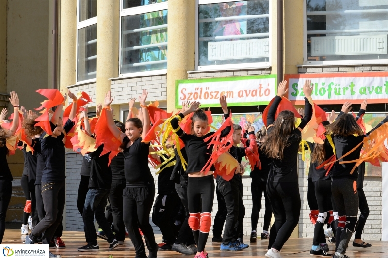 Szőlőszem, szőlőfürt avató Nyírszőlősön