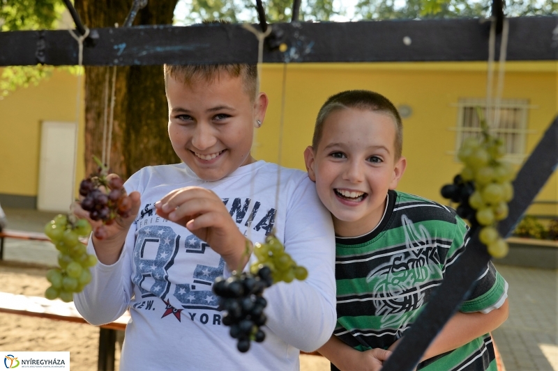 Szőlőszem, szőlőfürt avató Nyírszőlősön