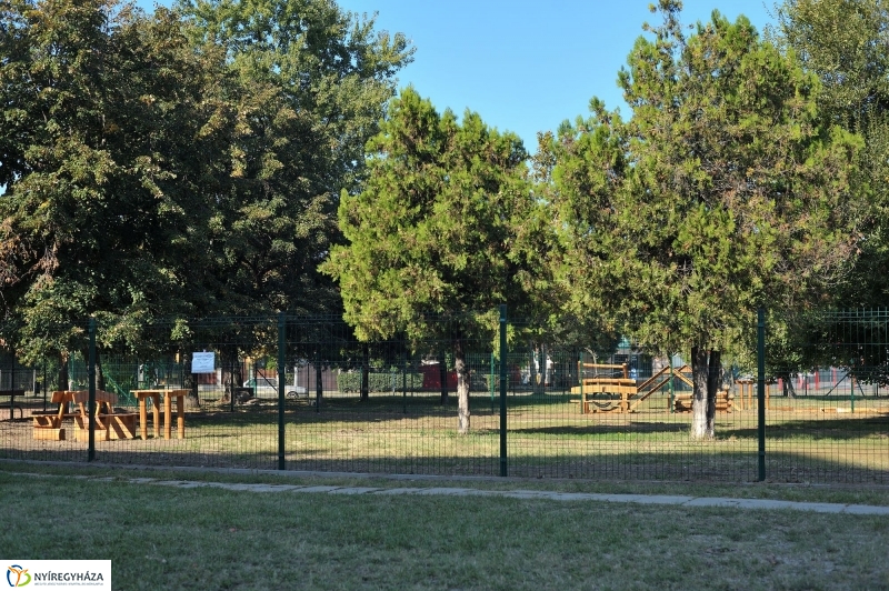 Kutyafuttató épül a Széna téren - fotó Szarka Lajos