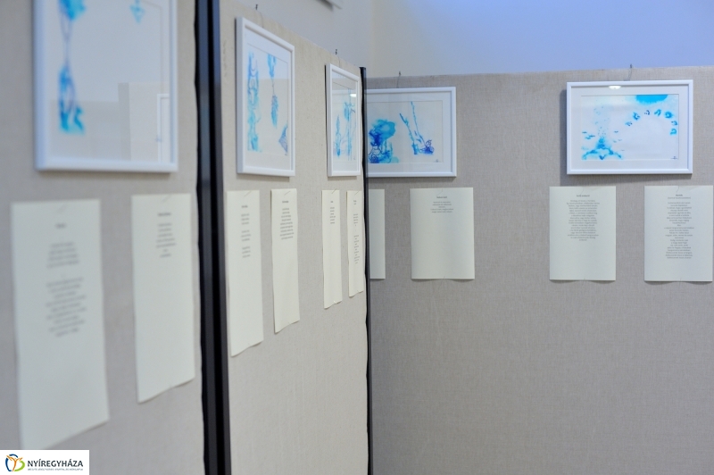 Budaházi István kötetbemutatója - fotó Szarka Lajos