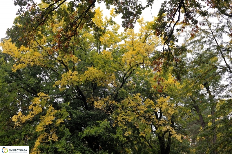 Egy esős őszi délután Sóstón - fotó Szarka Lajos