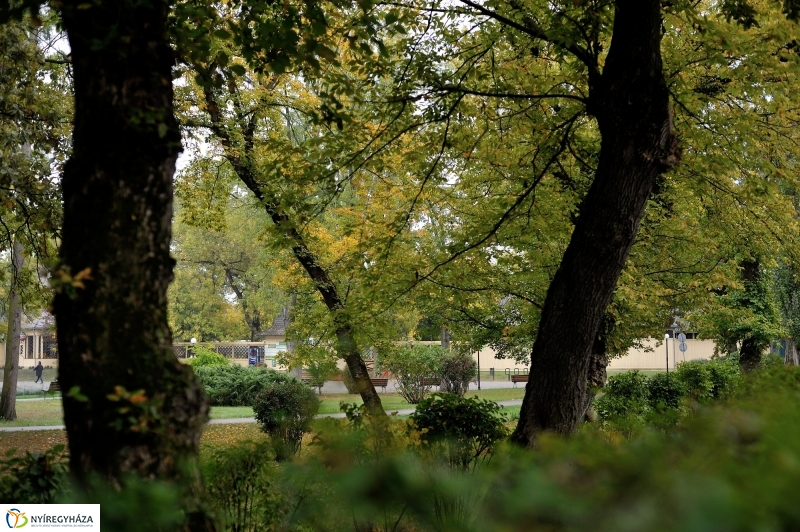 Egy esős őszi délután Sóstón - fotó Szarka Lajos