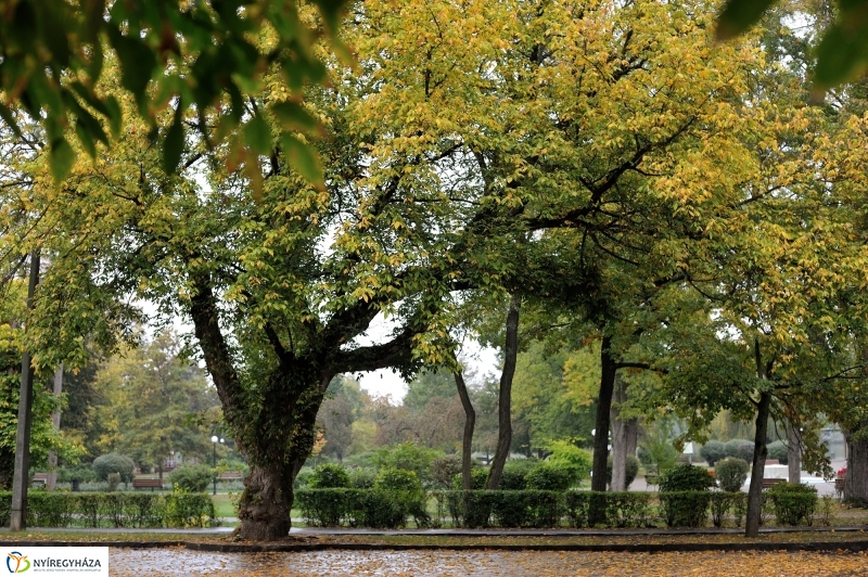 Egy esős őszi délután Sóstón - fotó Szarka Lajos