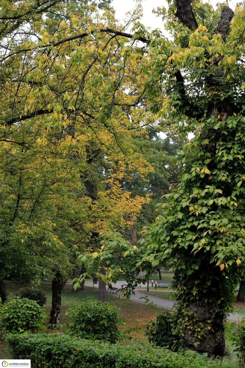 Egy esős őszi délután Sóstón - fotó Szarka Lajos