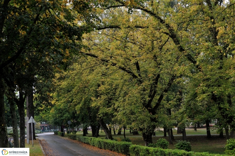 Egy esős őszi délután Sóstón - fotó Szarka Lajos