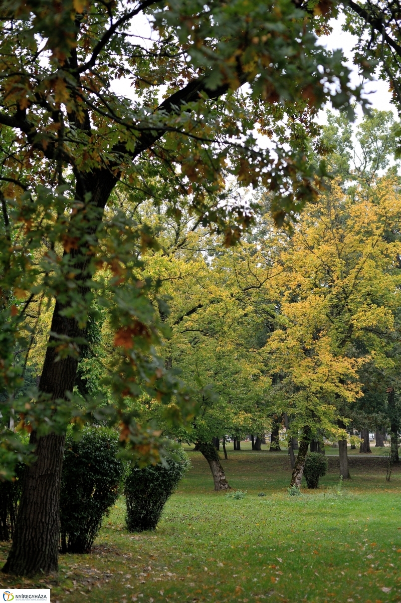 Egy esős őszi délután Sóstón - fotó Szarka Lajos