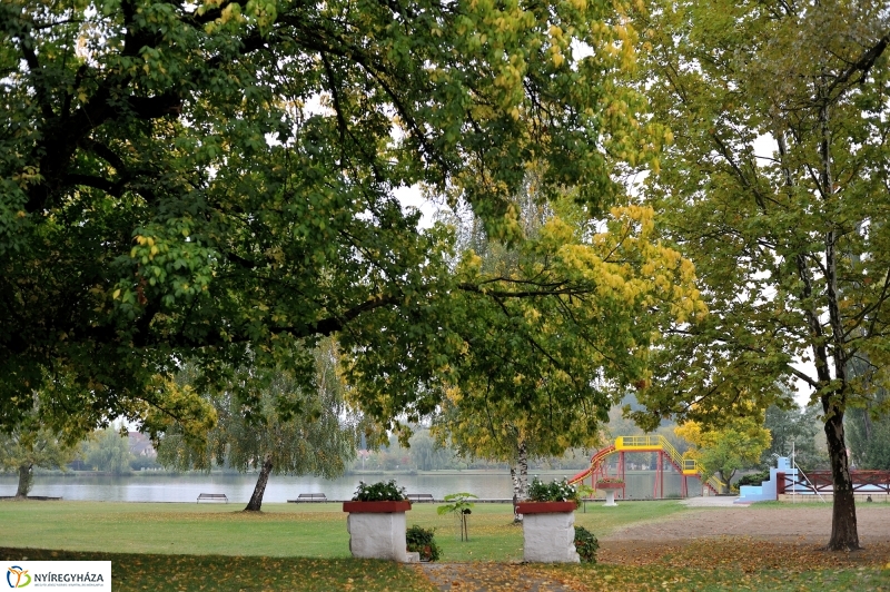 Egy esős őszi délután Sóstón - fotó Szarka Lajos