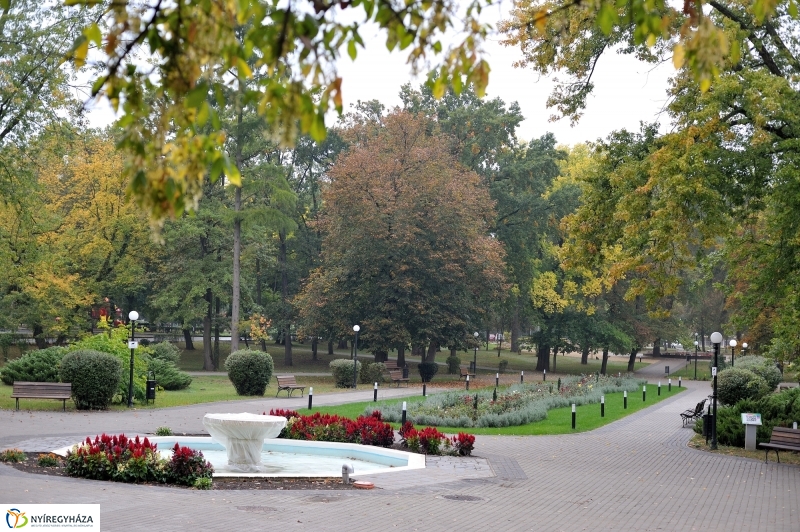 Egy esős őszi délután Sóstón - fotó Szarka Lajos