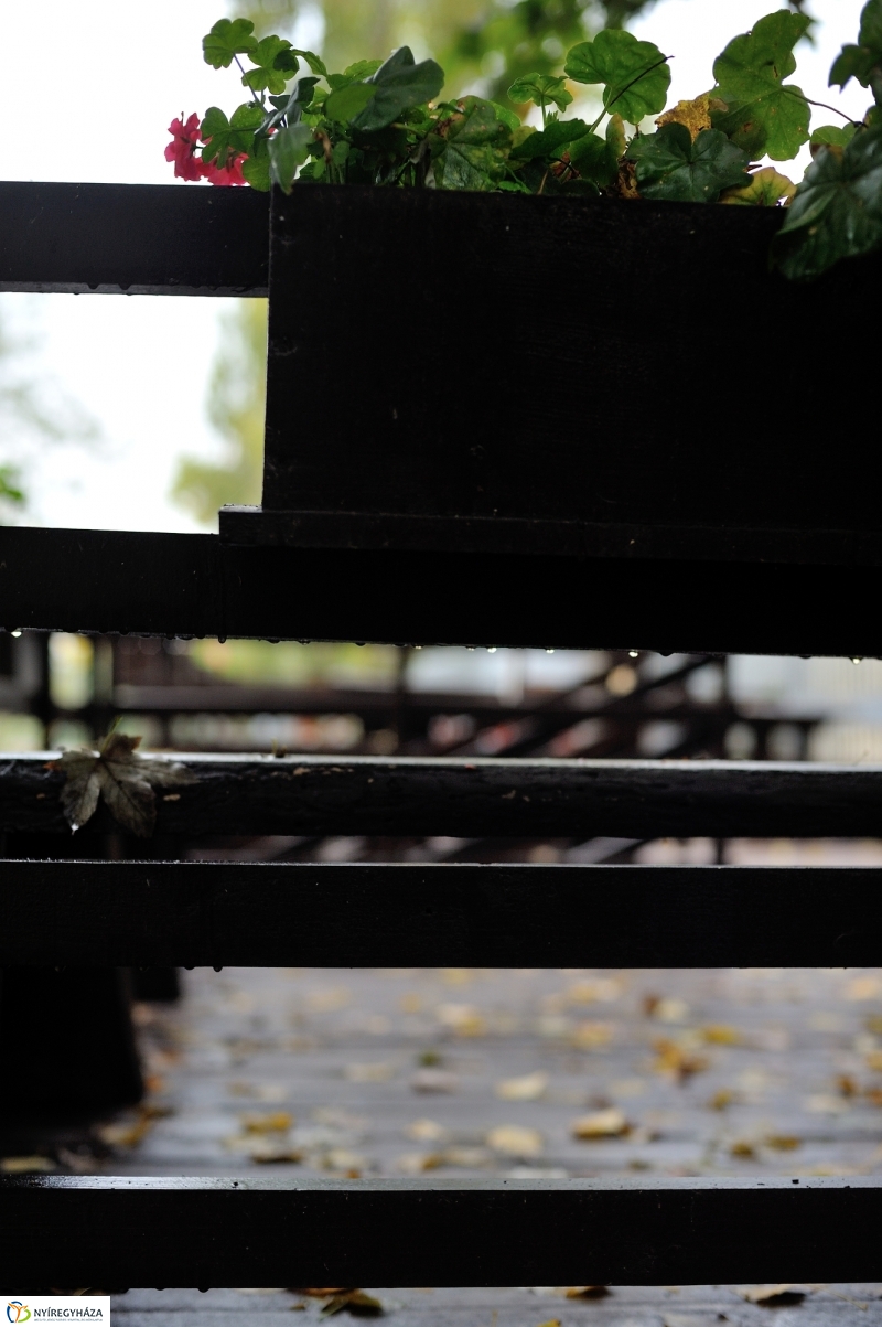 Egy esős őszi délután Sóstón - fotó Szarka Lajos