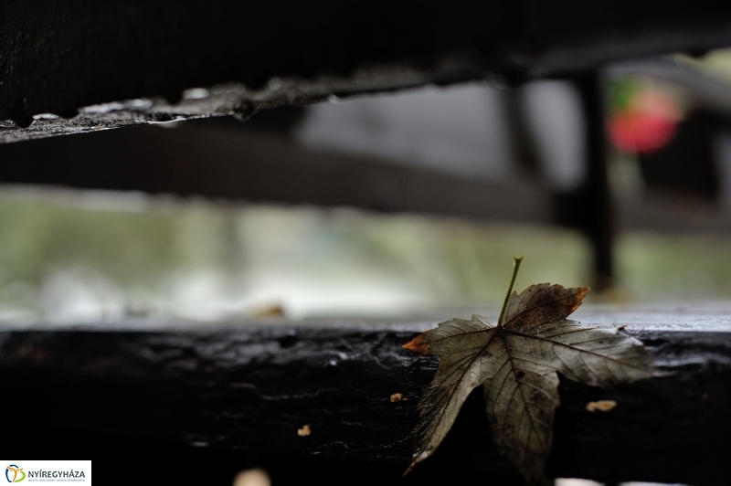 Egy esős őszi délután Sóstón - fotó Szarka Lajos