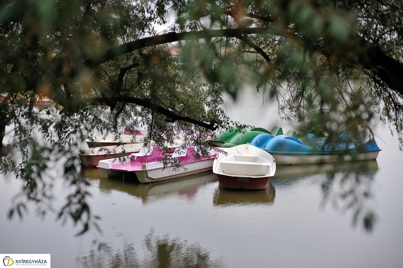 Egy esős őszi délután Sóstón - fotó Szarka Lajos