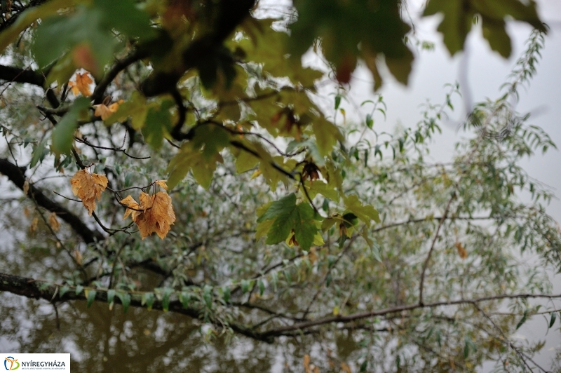 Egy esős őszi délután Sóstón - fotó Szarka Lajos