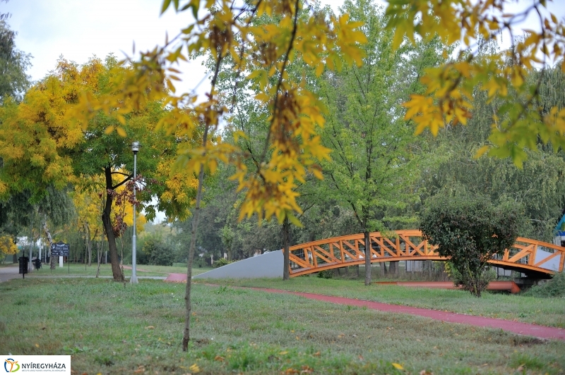 Egy esős őszi délután Sóstón - fotó Szarka Lajos