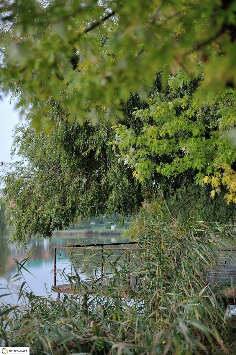 Egy esős őszi délután Sóstón - fotó Szarka Lajos