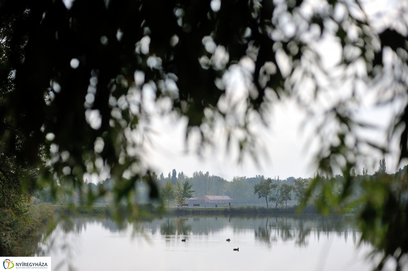 Egy esős őszi délután Sóstón - fotó Szarka Lajos