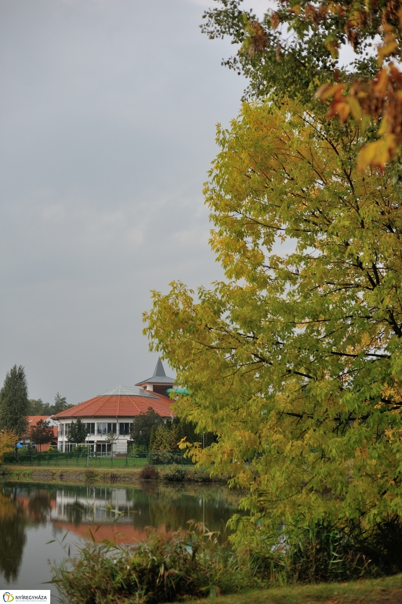 Egy esős őszi délután Sóstón - fotó Szarka Lajos