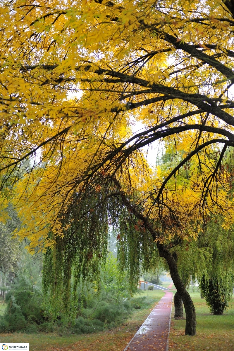 Egy esős őszi délután Sóstón - fotó Szarka Lajos