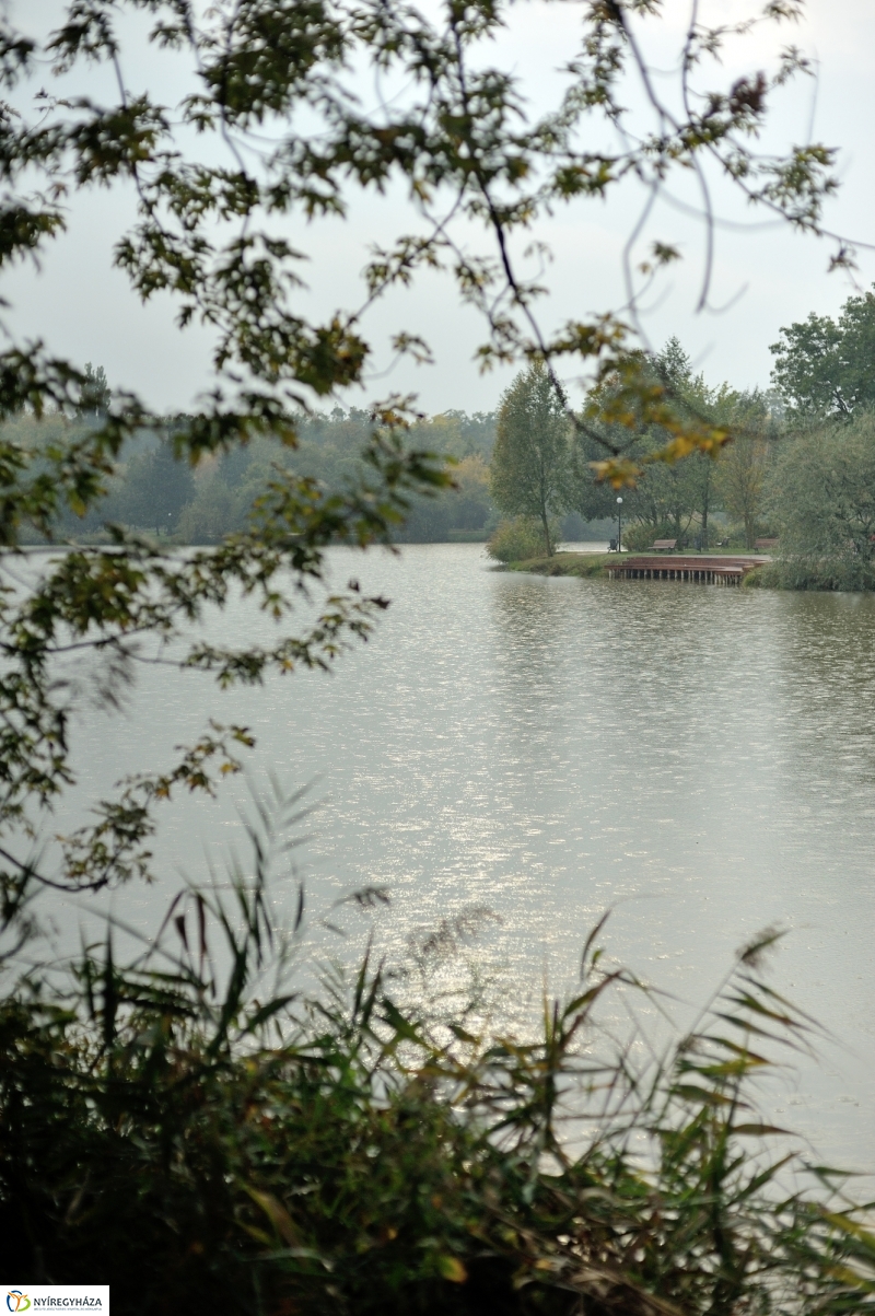 Egy esős őszi délután Sóstón - fotó Szarka Lajos