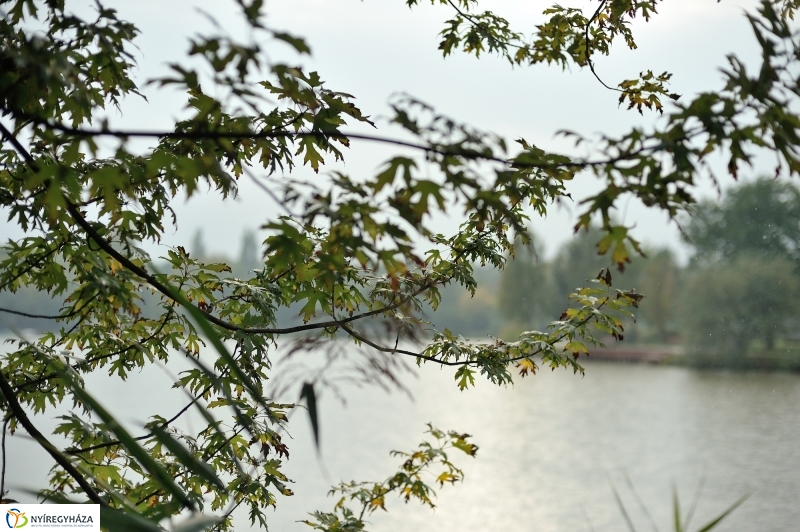 Egy esős őszi délután Sóstón - fotó Szarka Lajos
