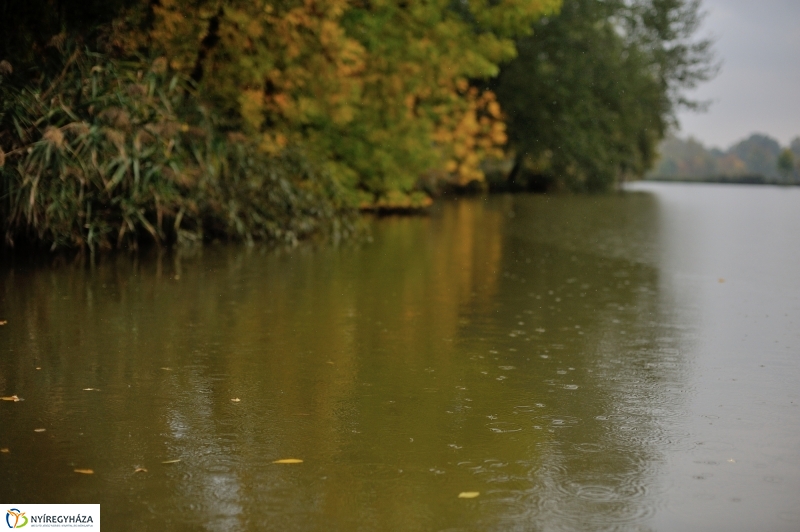 Egy esős őszi délután Sóstón - fotó Szarka Lajos