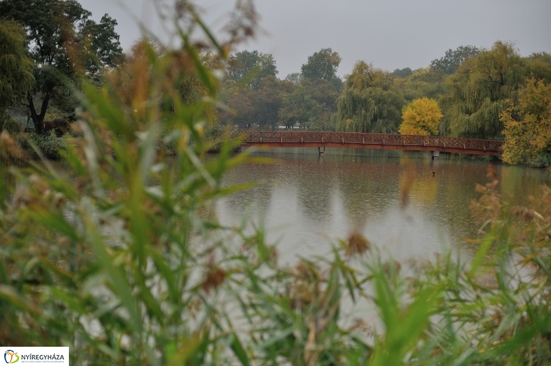 Egy esős őszi délután Sóstón - fotó Szarka Lajos